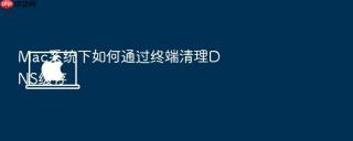 mac系统下如何通过终端清理dns缓存