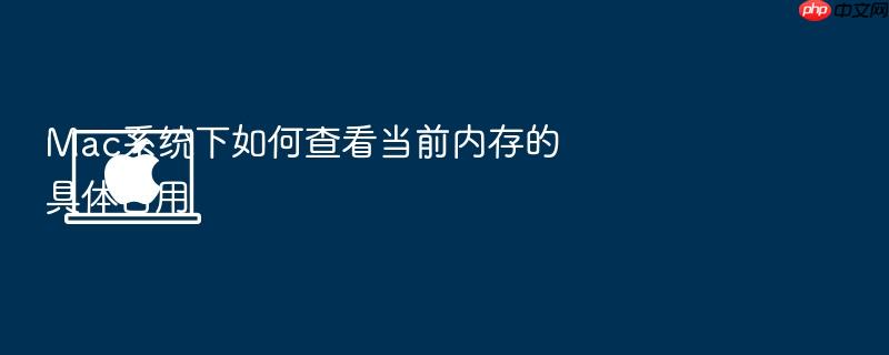 mac系统下如何查看当前内存的具体占用