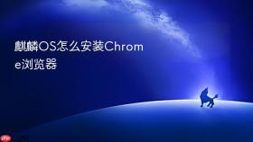 麒麟os怎么安装chrome浏览器