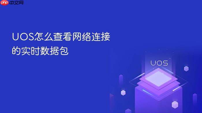 uos怎么查看网络连接的实时数据包