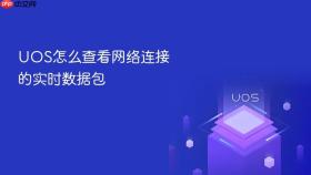 uos怎么查看网络连接的实时数据包