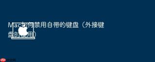 mac如何禁用自带的键盘(外接键盘时使用)