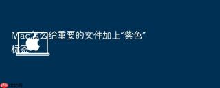 Mac怎么给重要的文件加上“紫色”标签