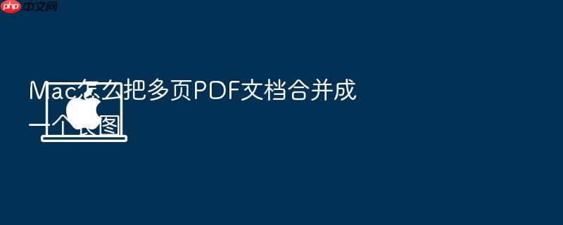 mac怎么把多页pdf文档合并成一个长图