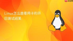 linux怎么查看网卡的环回测试结果