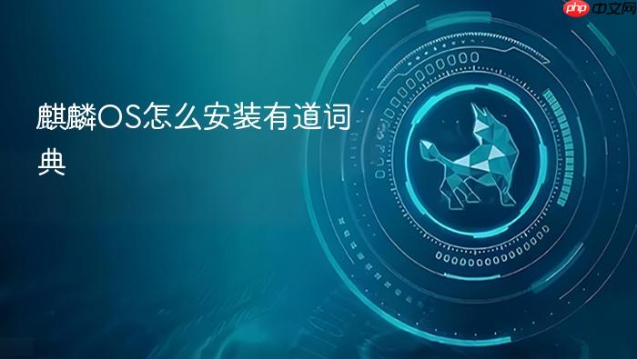 麒麟os怎么安装有道词典