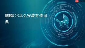 麒麟os怎么安装有道词典