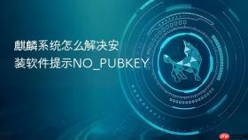 麒麟系统怎么解决安装软件提示NO_PUBKEY