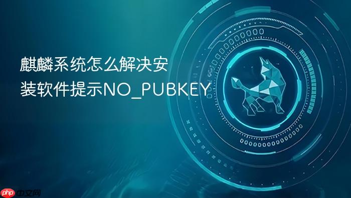 麒麟系统怎么解决安装软件提示no_pubkey