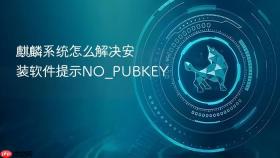 麒麟系统怎么解决安装软件提示no_pubkey