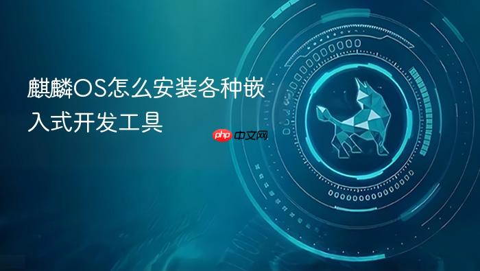 麒麟os怎么安装各种嵌入式开发工具
