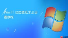 win11 动态壁纸怎么设置教程
