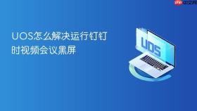 uos怎么解决运行钉钉时视频会议黑屏