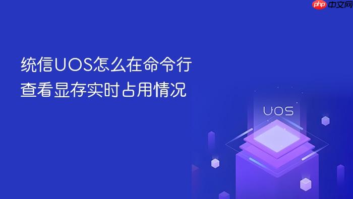 统信uos怎么在命令行查看显存实时占用情况