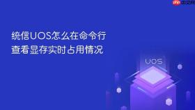 统信uos怎么在命令行查看显存实时占用情况
