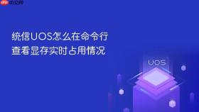 统信UOS怎么在命令行查看显存实时占用情况