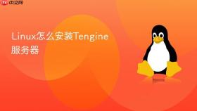 linux怎么安装tengine服务器