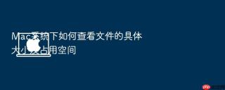mac系统下如何查看文件的具体大小及占用空间