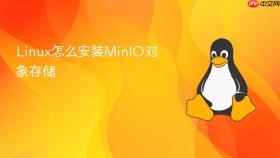 Linux怎么安装MinIO对象存储