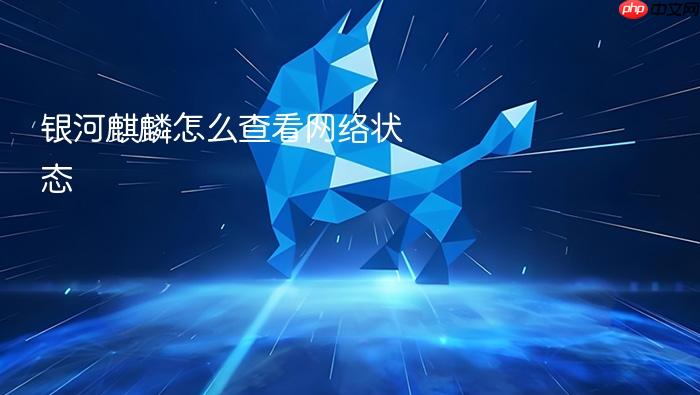 银河麒麟怎么查看网络状态