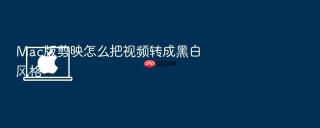 mac版剪映怎么把视频转成黑白风格