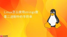 linux怎么使用strings查看二进制中的字符串