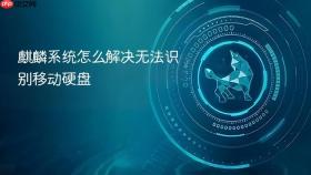 麒麟系统怎么解决无法识别移动硬盘