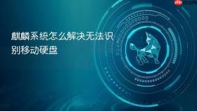 麒麟系统怎么解决无法识别移动硬盘