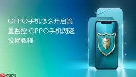 OPPO手机怎么开启流量监控 OPPO手机网速设置教程