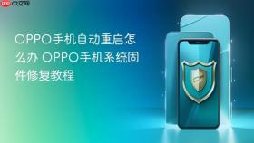 OPPO手机自动重启怎么办 OPPO手机系统固件修复教程