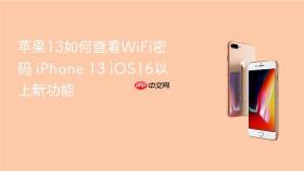 苹果13如何查看wifi密码 iphone 13 ios16以上新功能
