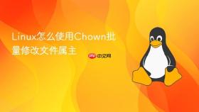 linux怎么使用chown批量修改文件属主