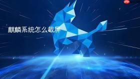 麒麟系统怎么截屏