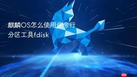 麒麟os怎么使用命令行分区工具fdisk