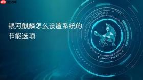 银河麒麟怎么设置系统的节能选项