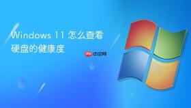 windows 11 怎么查看硬盘的健康度