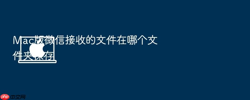 mac版微信接收的文件在哪个文件夹保存