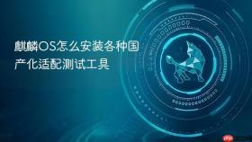 麒麟OS怎么安装各种国产化适配测试工具