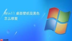 win11 桌面壁纸变黑色怎么修复