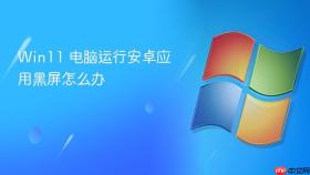win11 电脑运行安卓应用黑屏怎么办