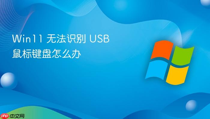 win11 无法识别 usb 鼠标键盘怎么办