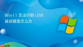 win11 无法识别 usb 鼠标键盘怎么办