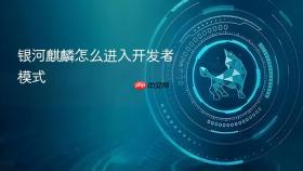 银河麒麟怎么进入开发者模式