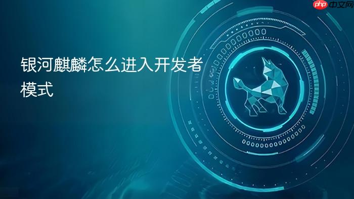 银河麒麟怎么进入开发者模式