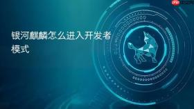 银河麒麟怎么进入开发者模式