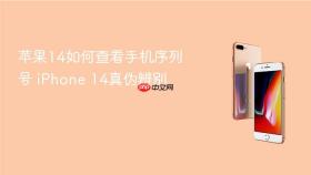 苹果14如何查看手机序列号 iphone 14真伪辨别