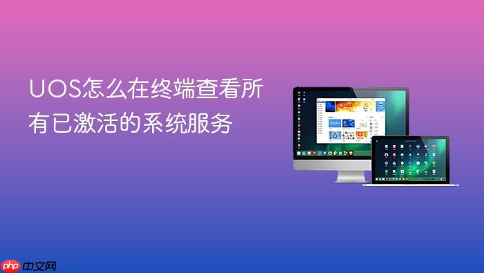 uos怎么在终端查看所有已激活的系统服务