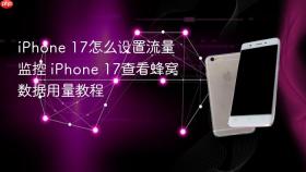 iphone 17怎么设置流量监控 iphone 17查看蜂窝数据用量教程