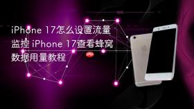 iPhone 17怎么设置流量监控 iPhone 17查看蜂窝数据用量教程