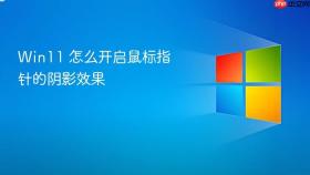 win11 怎么开启鼠标指针的阴影效果